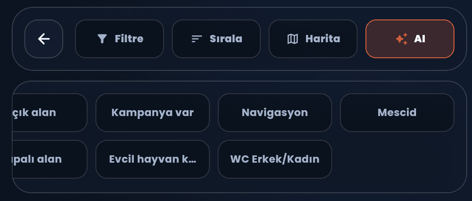 Molayeri filtreleme paneli genel gorunumu